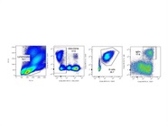 Anti-Human IgG for PBMC Staining