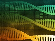 Improving NGS Library Prep with Automation