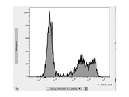 High Quality Antibody to Stain Gamma Delta TCR