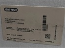 Very Good Western Blot Pad Paper
