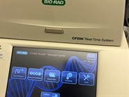 Fast and Accurate qRT-PCR System
