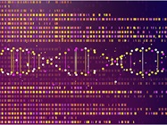 Precision Oncology: Improving the Patient-Care Journey