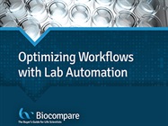 Optimizing Workflows with Lab Automation