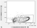 Great Antibody for Staining Mouse CD11b