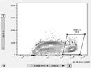 Great Antibody for Staining Mouse CD90.2