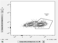 Great Antibody for Staining FOXP3