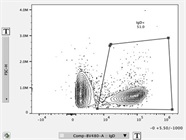 Great Antibody for Staining Mouse IgD