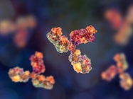 How to Select the Right Antibody for Your Experiment