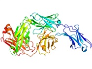 Immune Checkpoint Inhibitor Combination Therapy