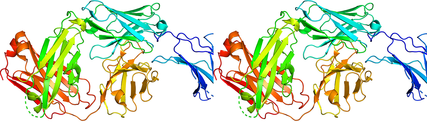  Immune Checkpoint Inhibitor Combination Therapy