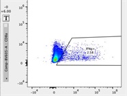 Great Antibody With Strong Signal for IFNg