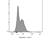 Easy To Use Nur77 Antibody
