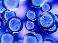 Organoids in Disease Modeling