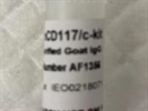 Good CD117 Antibody for Immunostaining