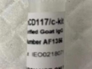 Good CD117 Antibody for Immunostaining