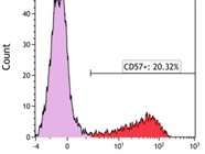 CD57 with Good Separation