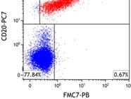 Faint Signal On Dimly Expressed Marker