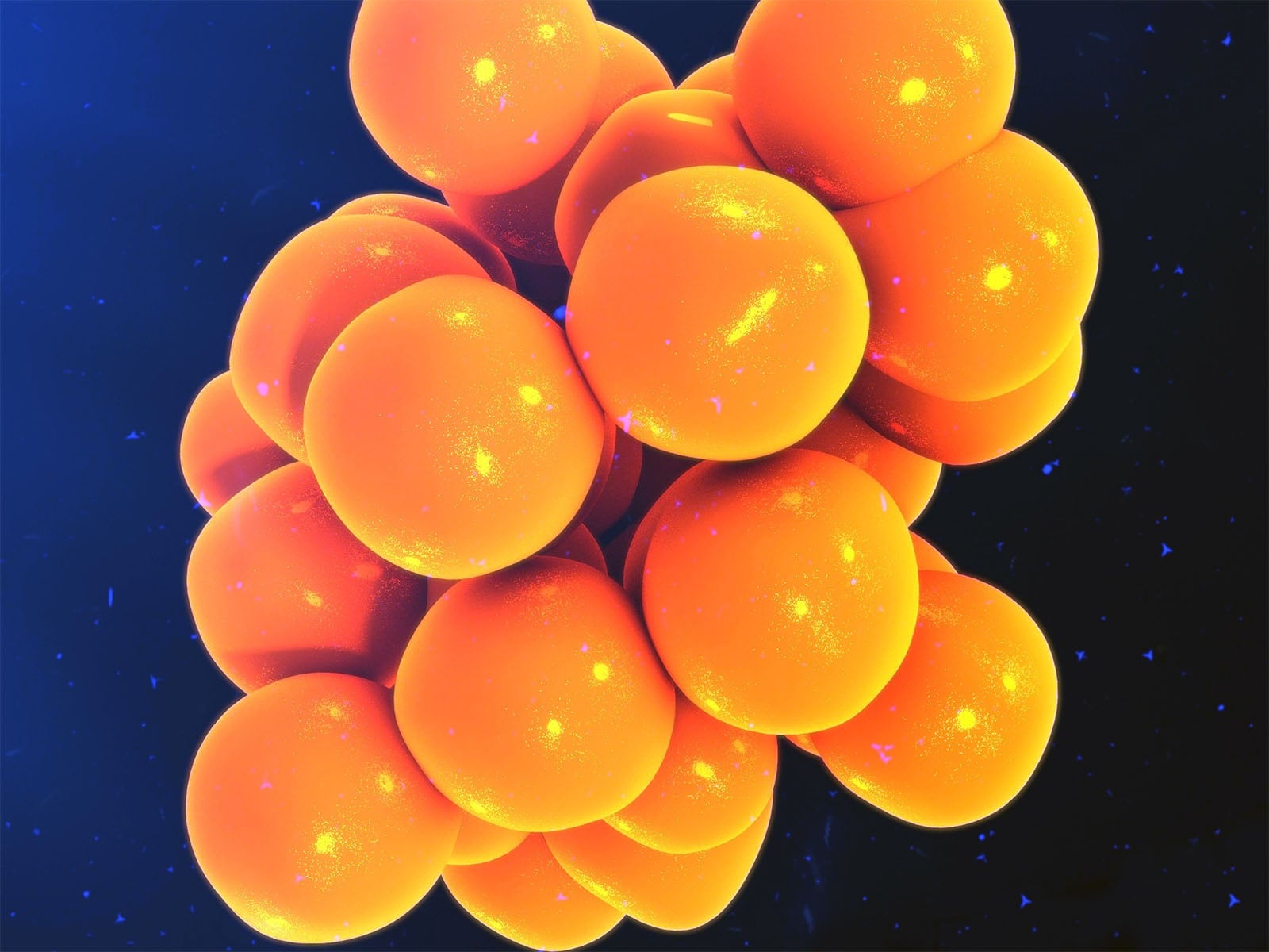  Cytokine Application in Cancer Immunotherapy
