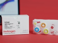 Cells-to-CT Kits