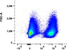 Easy To Use Mouse CD3 Antibody
