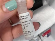 Great dNTP Mix From PCR Biosystems