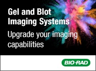 DONT WAIT for your imaging system!