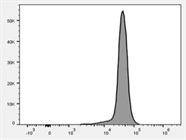 Great Antibody To Study Immune Cells