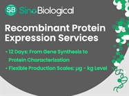Custom Recombinant Protein Expression Services