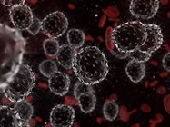 Monitoring Markers of T Cell Exhaustion