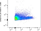 Great CD200 Antibody With Strong Staining