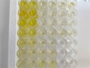 Great ELISA Kit for BMP-4