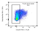 Affordable Macrophage Antibody