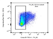 Affordable Macrophage Antibody