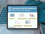 Infographic: 5 Common ELISA Problems and How to Fix Them