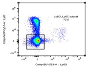 Bright Macrophage Marker For Spectral FC