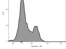 Good IRF4 Antibody from BioLegend