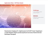 Tumor targeting in patient derived xenografts