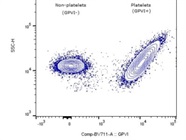 Good GPVI Staining