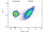 Good CD36 Staining on Platelets