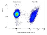 Bright CD42b Staining