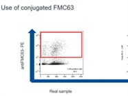 Conjugated Ab for CD19CAR Staining