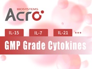 GMP Human IL-15/IL15/Interleukin 15 Cytokine