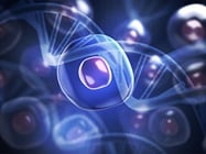Utilizing Innovations in Single-Cell Sequencing