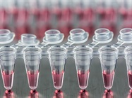 Guide to Selecting a PCR Method