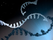 Discovery to Clinic: CRISPR-based Therapies and Diagnostics