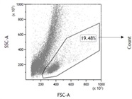 Great CD4 Antibody for Flow Cytometry