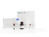 Amersham&trade; HCPQuant CHO (Supernatant) ELISA Kit