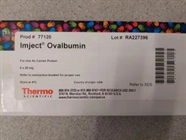 Great Carrier Protein for In Vivo Injections