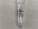 Great ASCL1 Antibody For Cells and FFPE Tissue