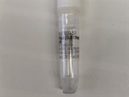 Great ASCL1 Antibody For Cells and FFPE Tissue